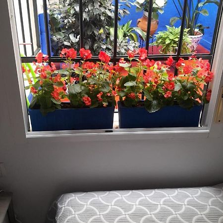 Puerta Sevilla Parking Gratis 코르도바 외부 사진